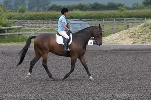 ISIS Dressage Challenge 2008